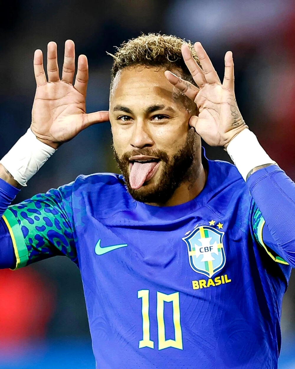 这一举动不 这一举动不